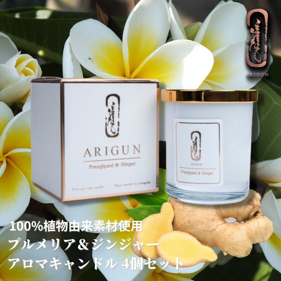 Arigun Luxury Brand プルメリア＆ジンジャーアロマキャンドル 330g × 4個セット :: モンゴル :: アジア :: 海外