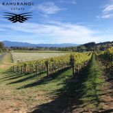 ニュージーランド　ワイン　赤　白　スパークリング　ロゼ