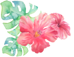 aloha