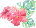 aloha
